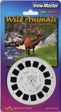 Wild Animals Of Our National Parks