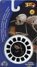 Skeletstructuren